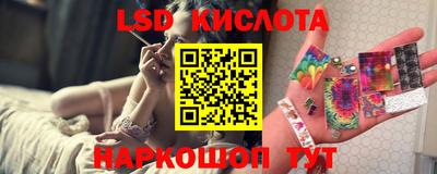 шишки Лесосибирск