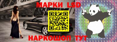 шишки Лесосибирск