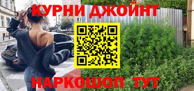 шишки Лесосибирск