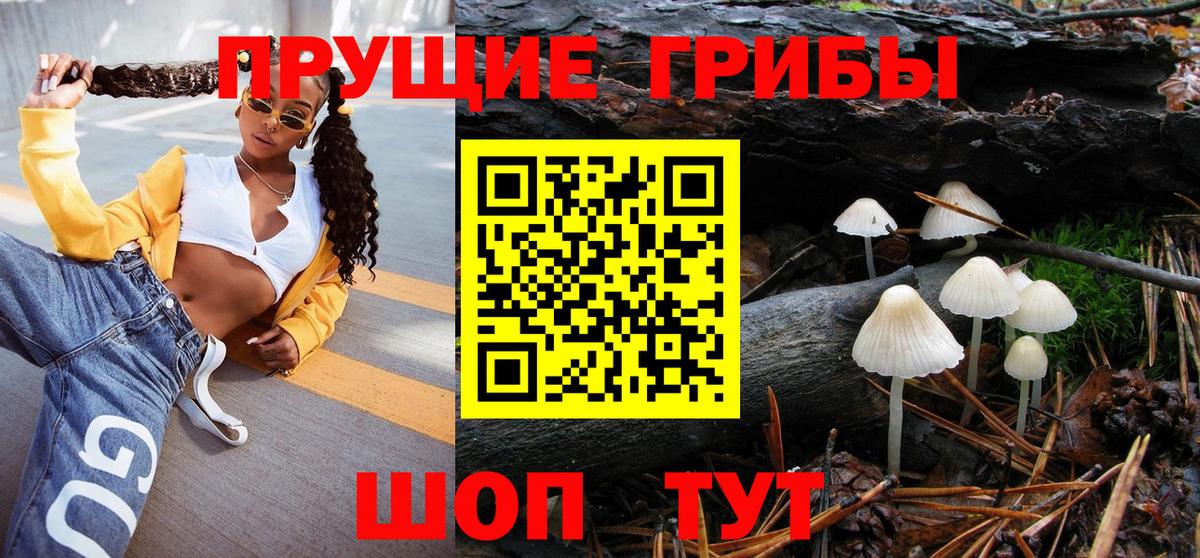Галлюциногенные грибы Psilocybe Стрежевой